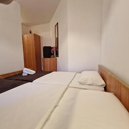 Maslina 3* Vodnjan